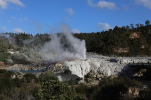 Te Puia Geothermal Area